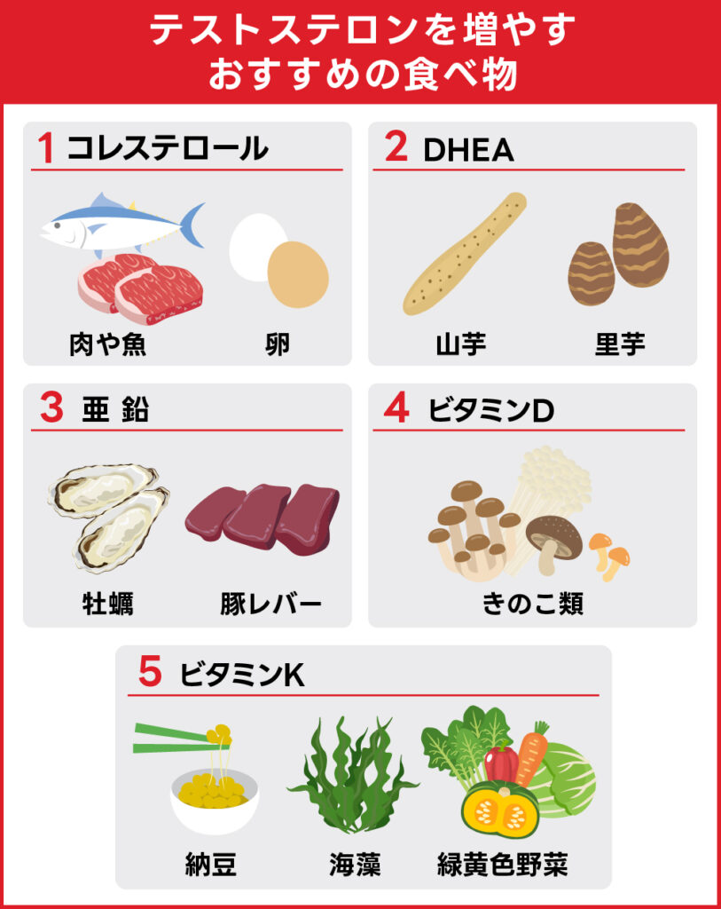 テストステロンを増やすおすすめの食べ物