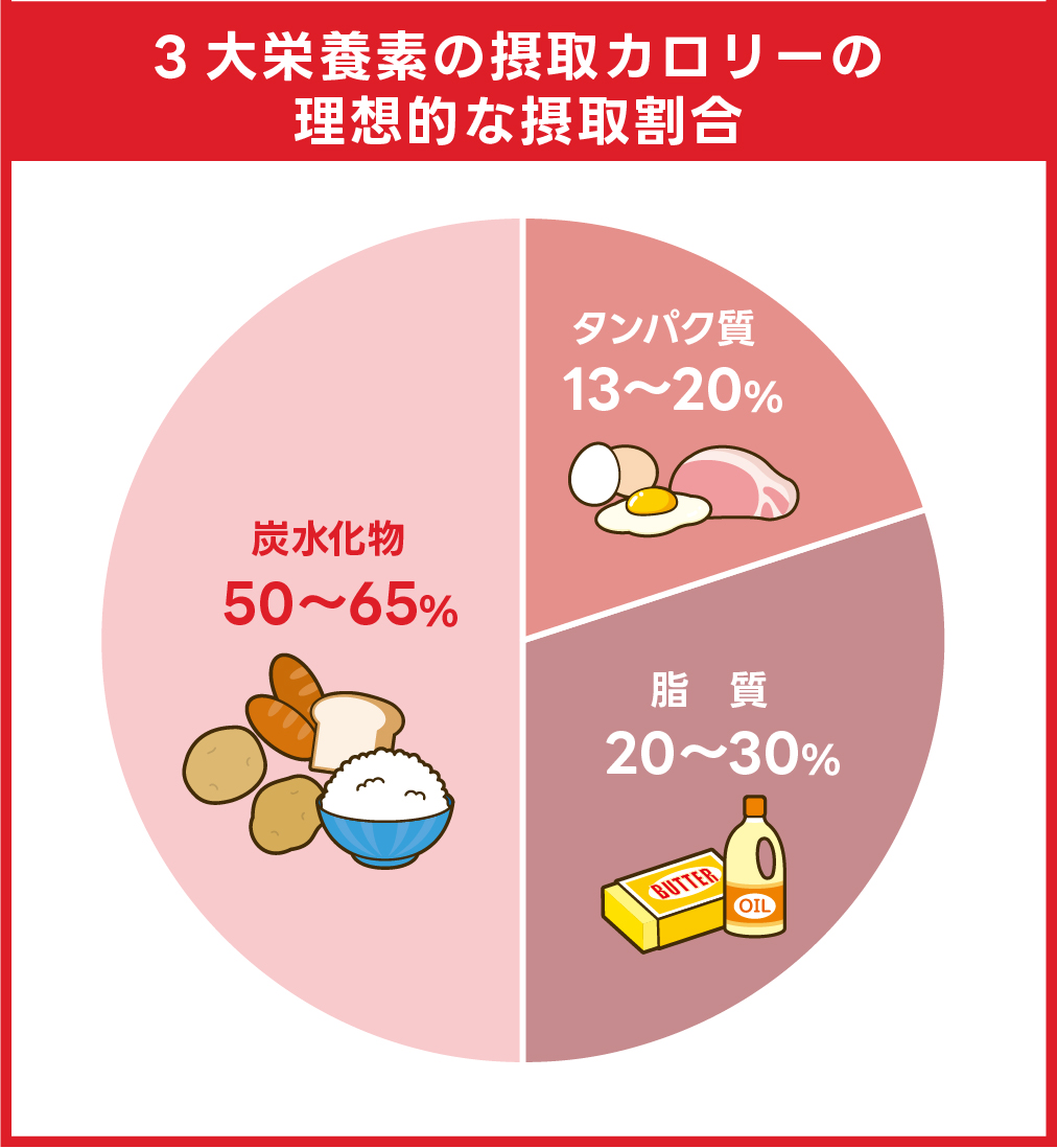 三大栄養素の摂取カロリーの理想
