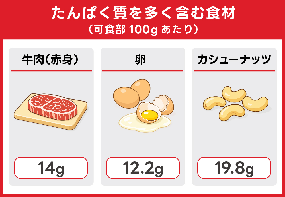 たんぱく質を多く含む食材