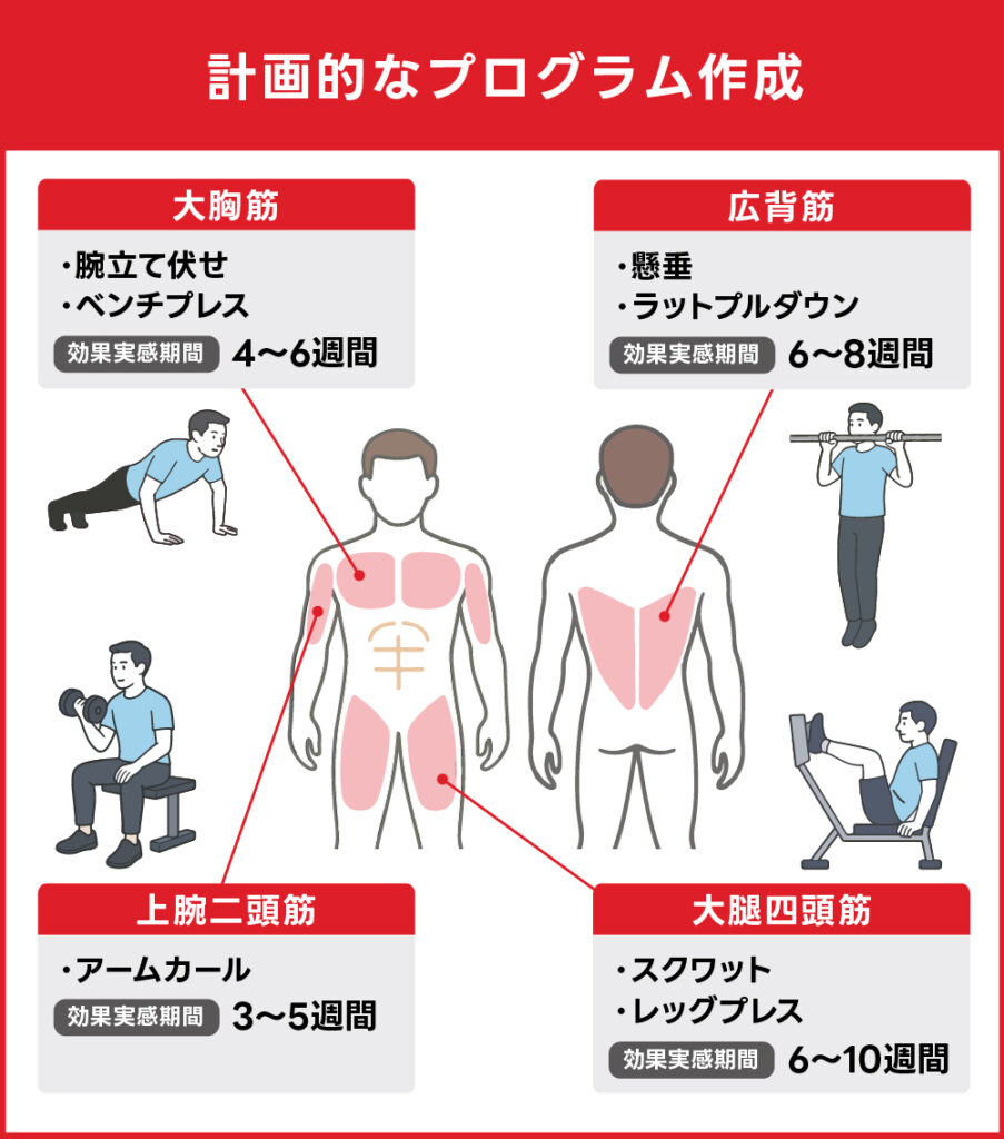 計画的なプログラム作成