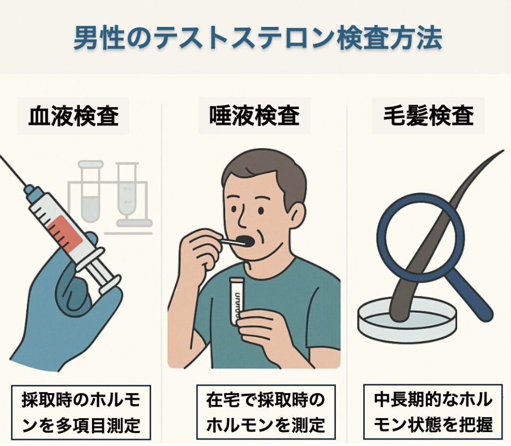 テストステロン検査方法