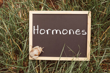 40～50代男性向け｜テストステロン検査で男性更年期をセルフチェック【男性ホルモン・テストステロン】