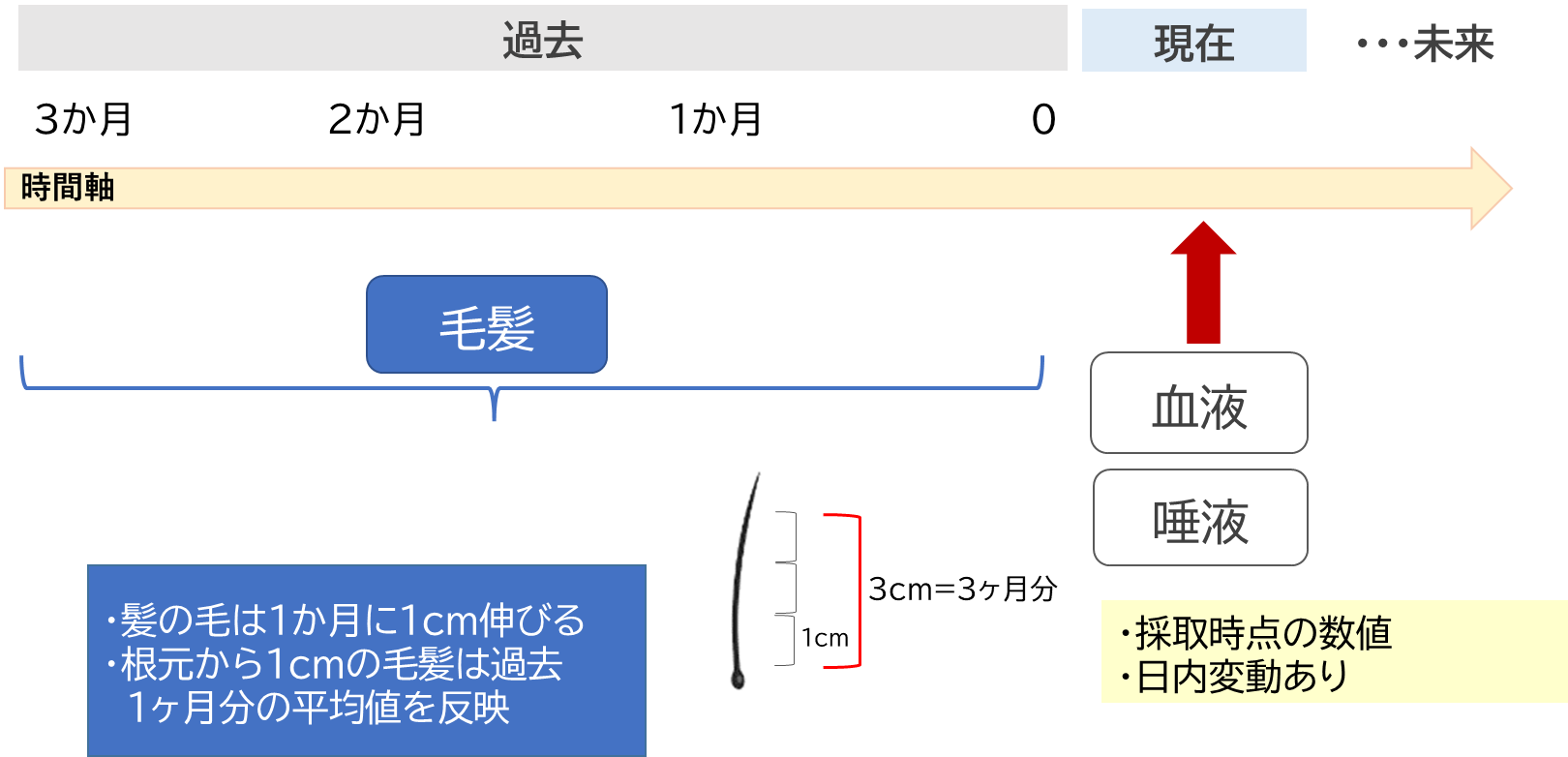 ホルモンの試料と測定対象時期