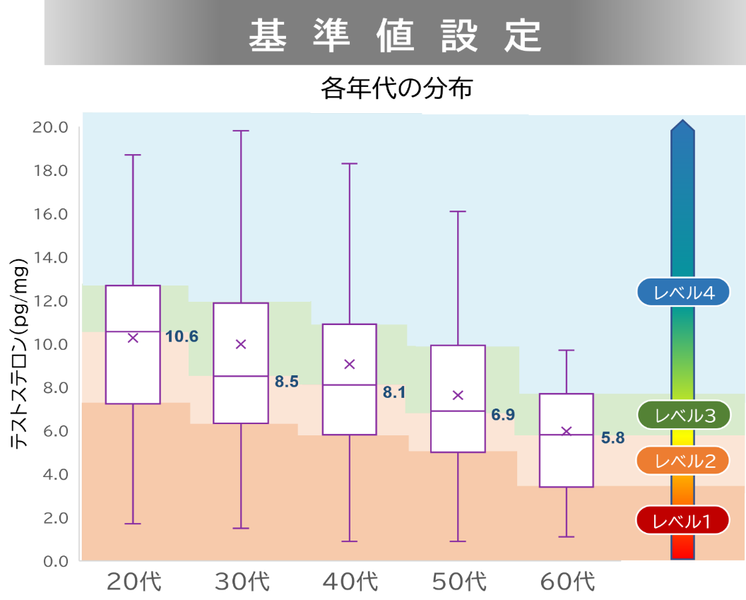 毛髪での各年代のテストステロン基準値
