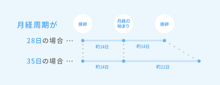 排卵日から生理まで