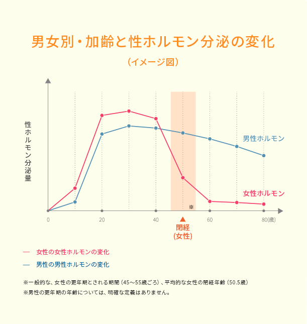 男女別・加齢と性ホルモン分泌の変化