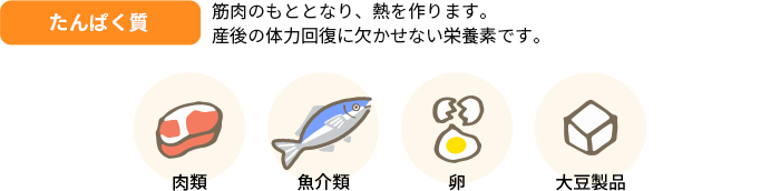 たんぱく質 筋肉のもととなり、熱を作ります。産後の体力回復に欠かせない栄養素です。