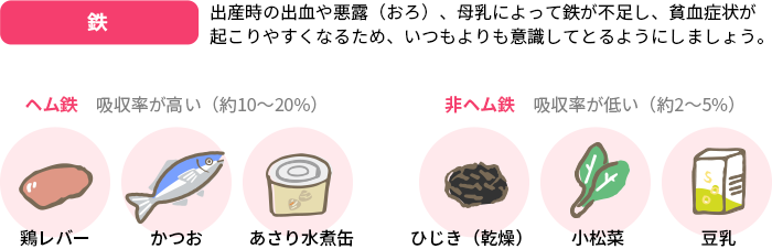 鉄　出産時の出血や悪露（おろ）、母乳によって鉄が不足し、貧血症状が起こりやすくなるため、いつもよりも意識してとるようにしましょう。