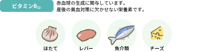 ビタミンB12　赤血球の生成に関与しています。産後の貧血対策に欠かせない栄養素です。