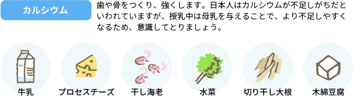 カルシウム　歯や骨をつくり、強くします。日本人はカルシウムが不足しがちだといわれていますが、授乳中は母乳を与えることで、より不足しやすくなるため、意識してとりましょう。