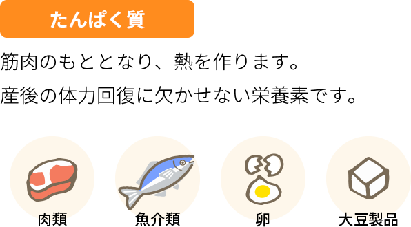 たんぱく質 筋肉のもととなり、熱を作ります。産後の体力回復に欠かせない栄養素です。