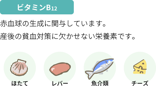 ビタミンB12　赤血球の生成に関与しています。産後の貧血対策に欠かせない栄養素です。