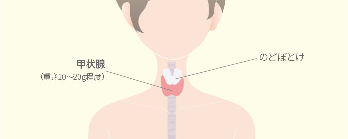 早めに気づいて 女性に多い病気と症状 知っておきたい女性のカラダと健康のこと 女性のための健康ラボ Mint