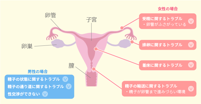 赤ちゃんを迎える前に 妊娠についての基礎知識 知っておきたい女性のカラダと健康のこと 女性のための健康ラボ Mint