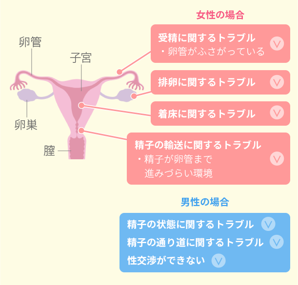 排卵 日 から 着 床 まで