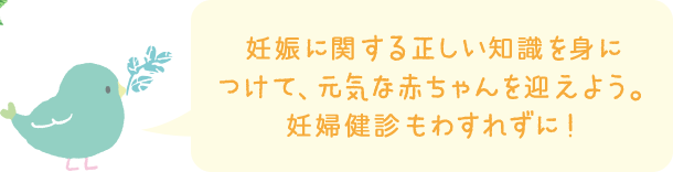 妊娠に関する正しい知識を身につけて、元気な赤ちゃんを迎えよう。妊婦健診もわすれずに！