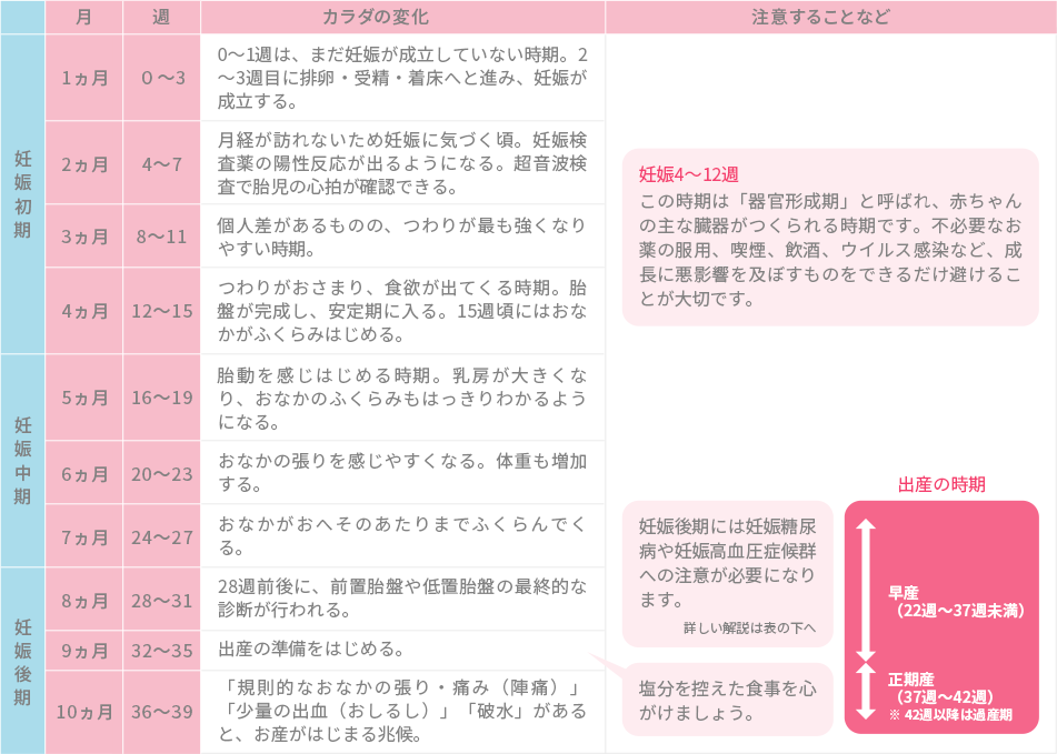 赤ちゃんを迎える前に 妊娠についての基礎知識 知っておきたい女性のカラダと健康のこと 女性のための健康ラボ Mint