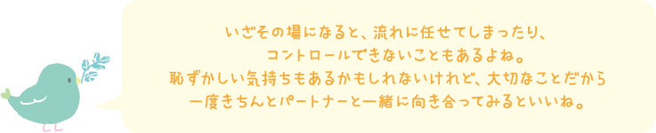 いざその場になると、流れに任せてしまったり、コントロールできないこともあるよね。恥ずかしい気持ちもあるかもしれないけれど、大切なことだから一度きちんとパートナーと一緒に向き合ってみるといいね。