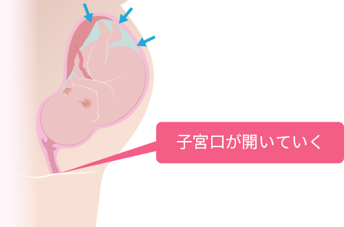 子宮 口 が 開く と は