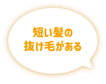 短い髪の抜け毛がある